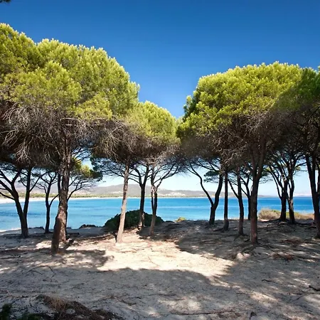 Villa Con Piscina Privata Budoniaffitti *