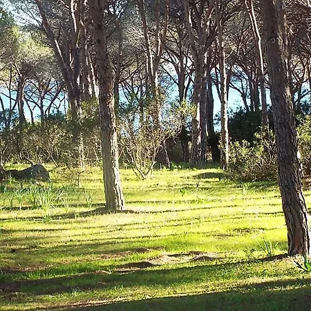 Villa Con Piscina Privata Budoniaffitti Budoni